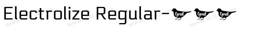 Electrolize Regular字体转换